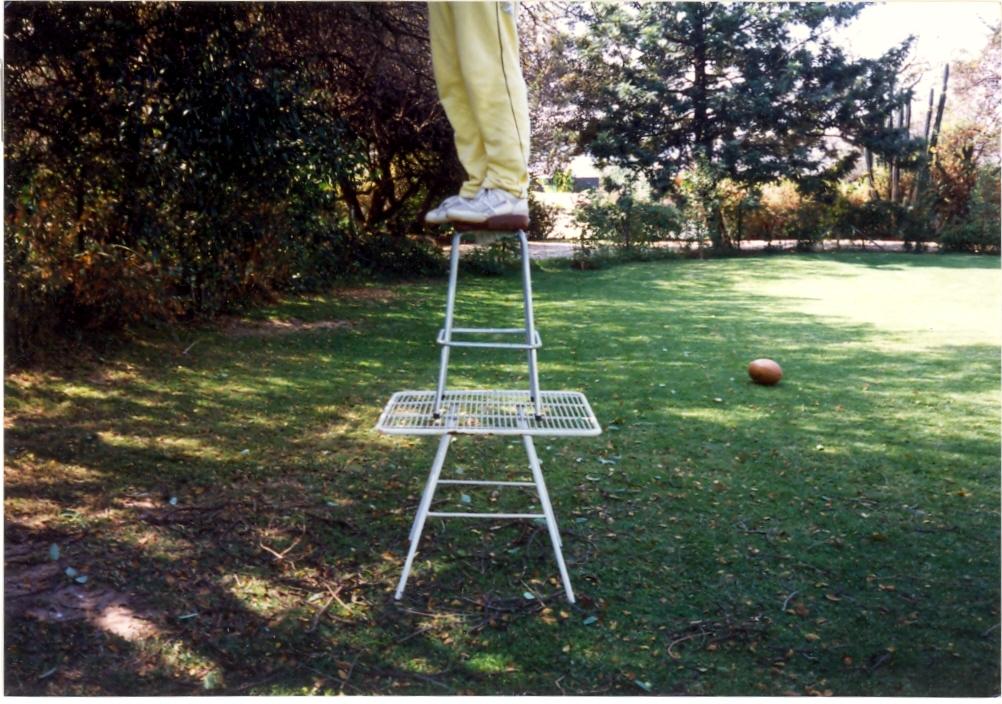 Trying to shake the Rugby Ball and Cricket Bat out of the Tree