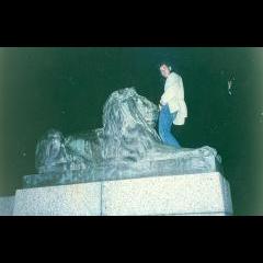Playing with Lion on Signal Hill. University of Cape Town