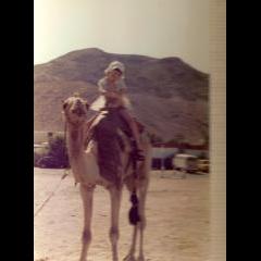 On a camel in Israel