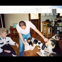 Playing with three dogs simultaneously. Granny Helen visiting at Wilderness.