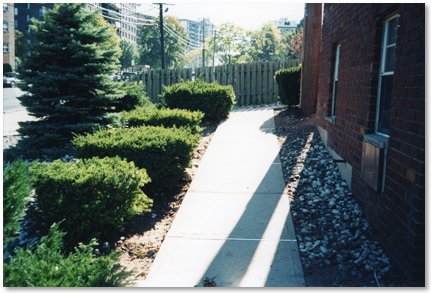 Path outside front door