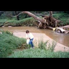 Cleaning up after a Storm